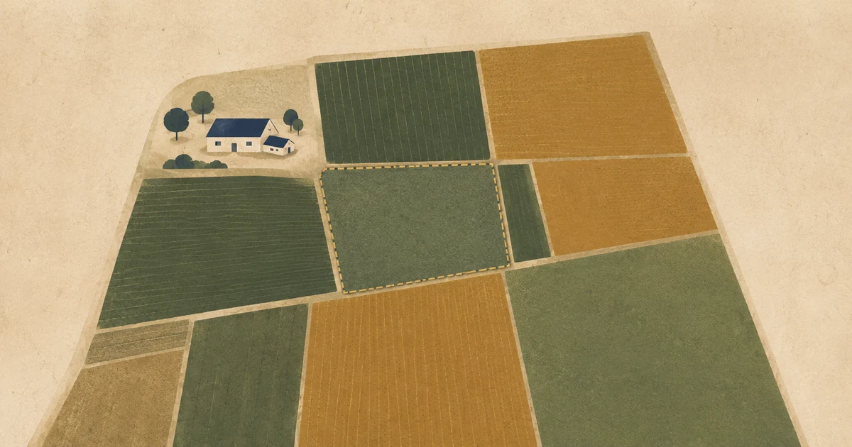 Vista ilustrada de imóvel rural com uma fração do terreno demarcada por linha tracejada dourada, representando patrimônio rural em afetação.